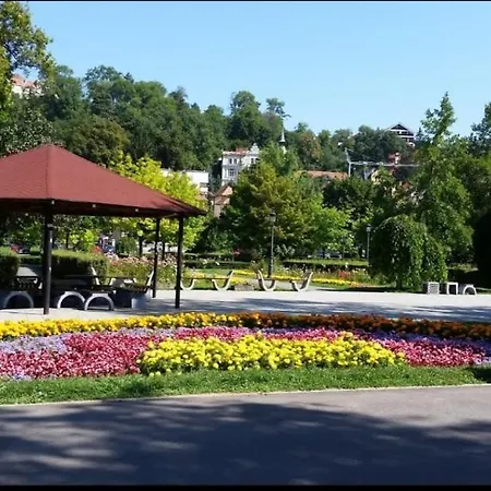 Alojamento de Turismo Selvagem In Regim Hotelier Braşov